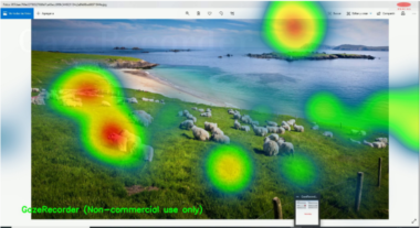 Webcam Eye Tracking With Gazerecorder Gazerecorder