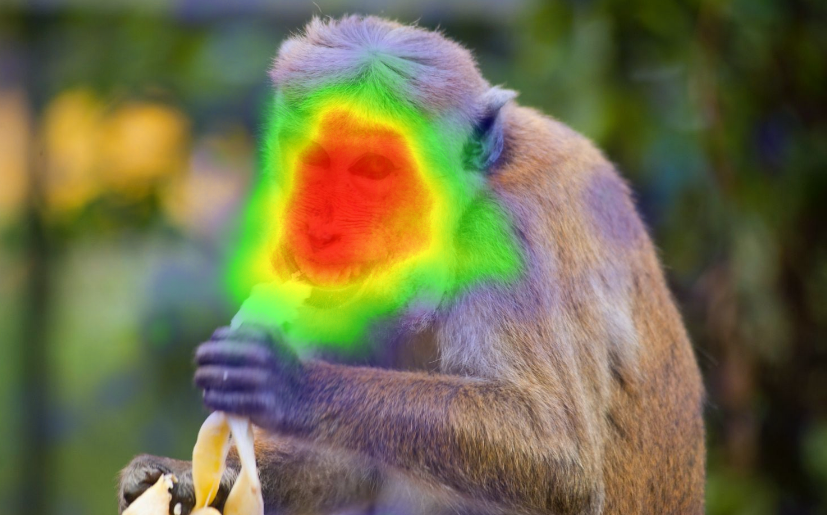 Eye Tracking Heatmap Gazerecorder