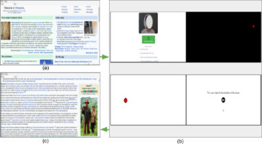 Implicit Visual Attention Feedback System for Wikipedia Users