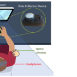 A bio-inspired exogenous attention-based architecture for social robots