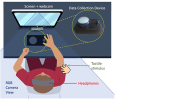 A bio-inspired exogenous attention-based architecture for social robots