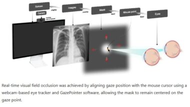 Improving lesion detection skills in medical imaging education through enhanced peripheral visual perception
